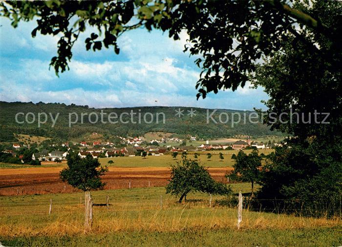 Wolsfeld Panorama