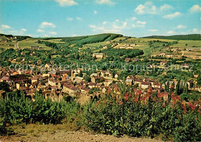 Muenstereifel Bad Panorama