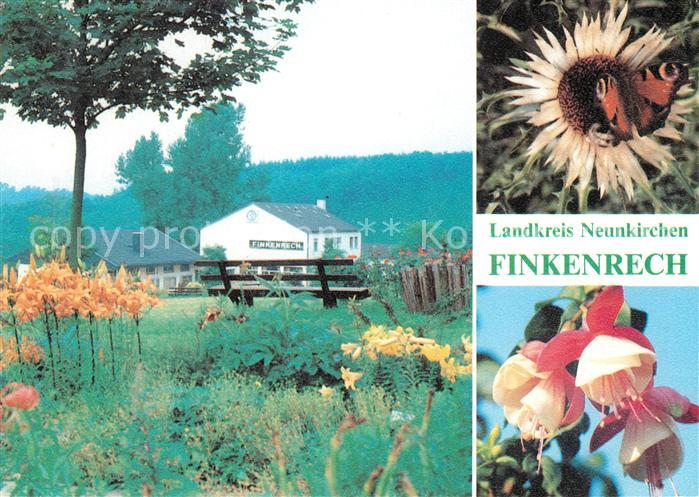 Dirmingen Gasthaus Finkenrech Silberdistel