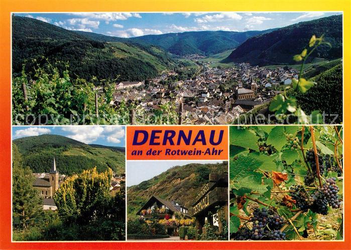 Dernau Ahr Panorama Traubenstoecke Kirche