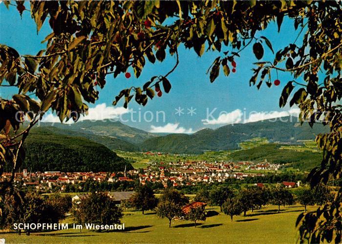 Schopfheim Panorama Wiesental Schwarzwald