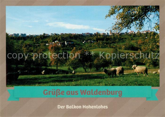 Waldenburg Wuerttemberg Der Balkon Hohenlohes Schafherde Landschaftspanorama