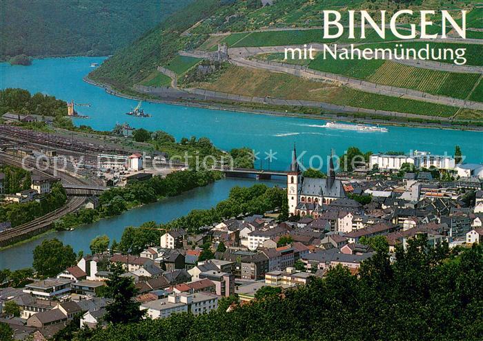 Bingen Rhein Panorama Nahemuendung
