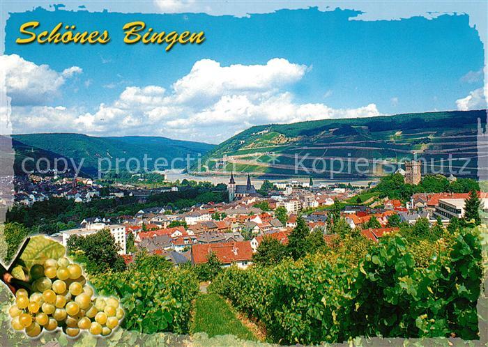 Bingen Rhein Panorama