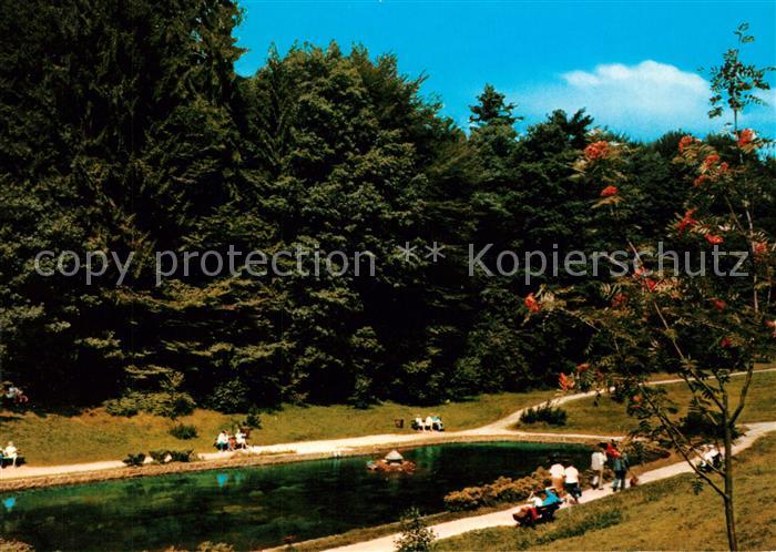 Grasellenbach Kuranlagen im Gassbachtal Kneipp Luftkurort