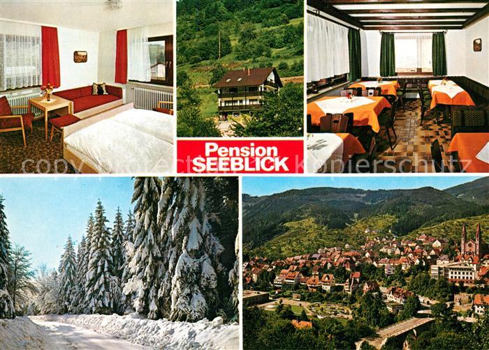 Forbach Baden Stadtpanorama Pension Seeblick Waldpartie im Winter Schwarzwald