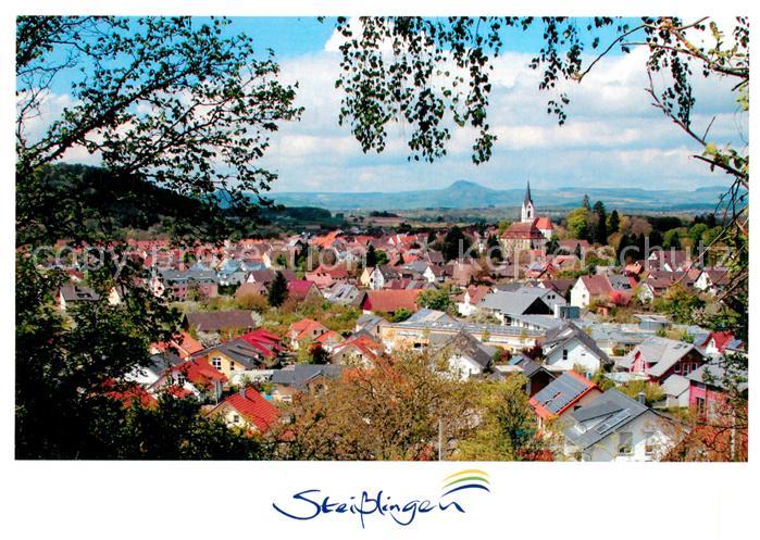 Steisslingen Stadtpanorama