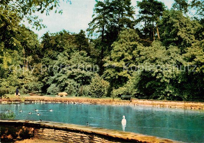 Ruesselsheim Main Partie im Ostpark Schwanenteich