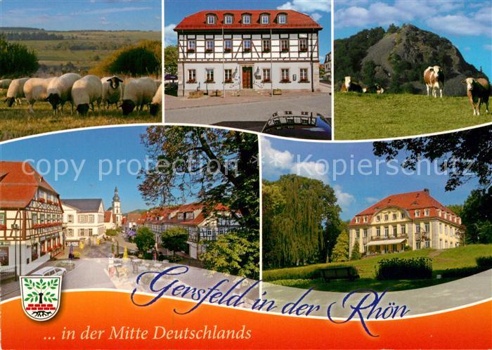 Gersfeld Rhoen Schafe Rathaus Viehweide Kuehe Innenstadt Parkvilla