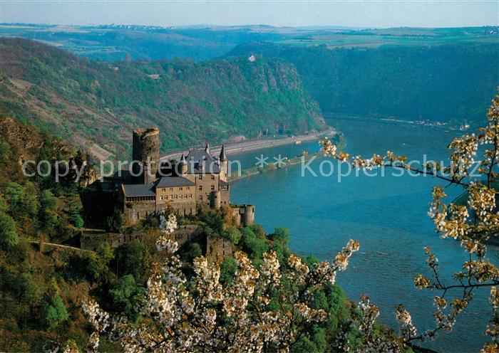 St Goarshausen Panorama Rheintal Burg Katz und Loreley Baumbluete