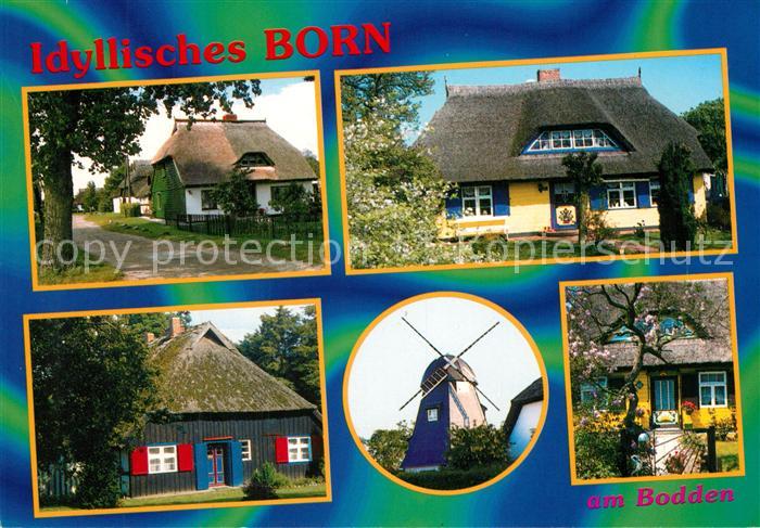 Born Darss Typische Wohnhaeuser der Region Windmuehle