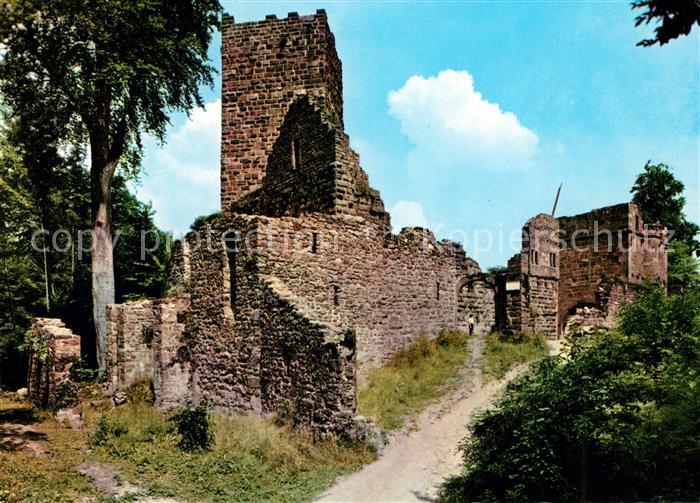 Amorbach Miltenberg Burgruine Wildenberg im Odenwald