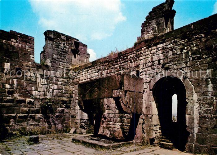 Amorbach Miltenberg Burgruine Wildenberg im Odenwald