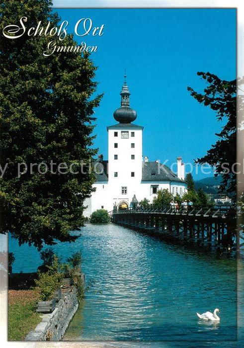 Gmunden Salzkammergut Schloss Ort am Traunsee Schwan