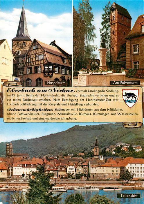 Eberbach Neckar Haspelturm Pulverturm Brunnen Blick ueber den Neckar