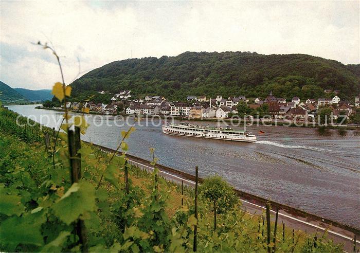 Kattenes Panorama Blick ueber die Mosel zur Stadt Dampfer