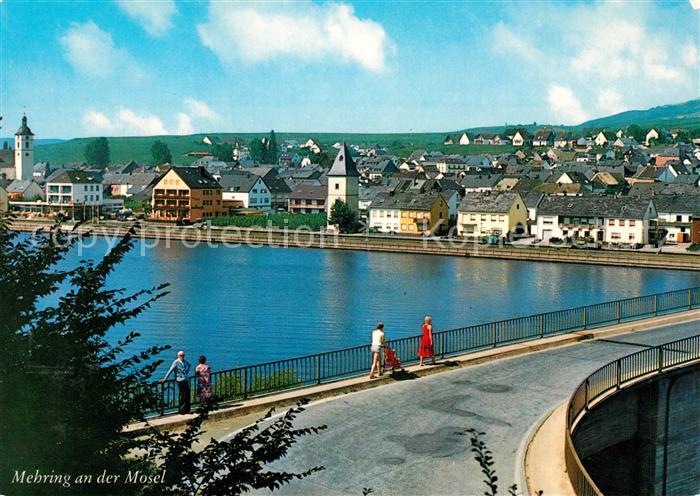 Mehring Mosel Moselbruecke Blick ueber den Fluss zur Stadt