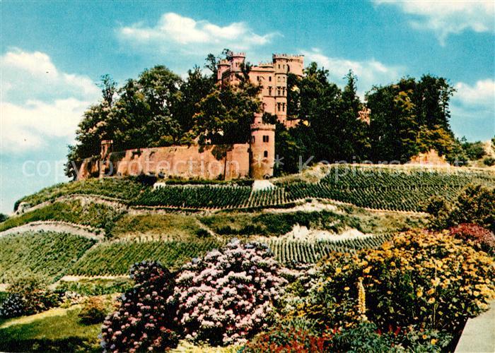 Ortenberg Baden Schloss