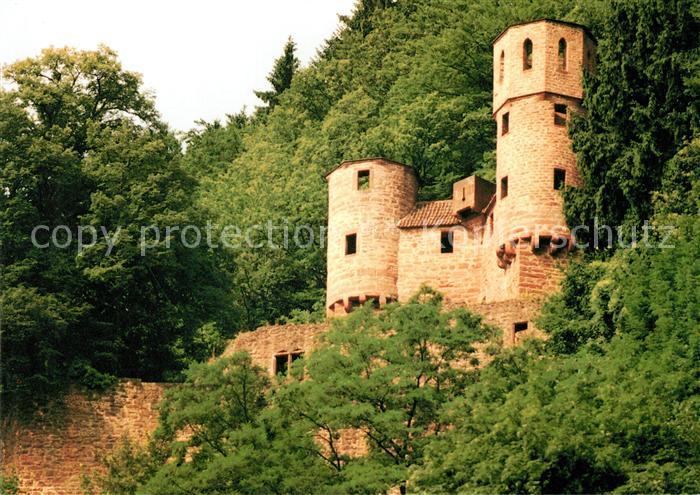 Neckarsteinach Burg Schwalbennest