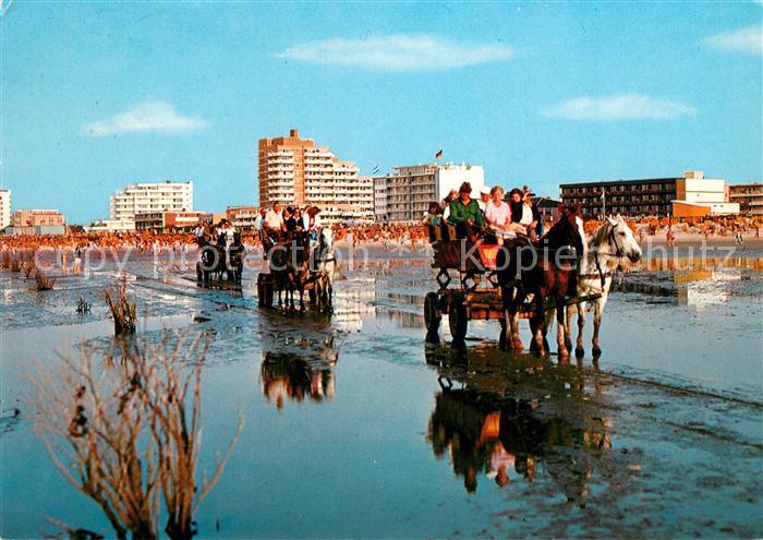 Duhnen Nordsee Pferdefahrt