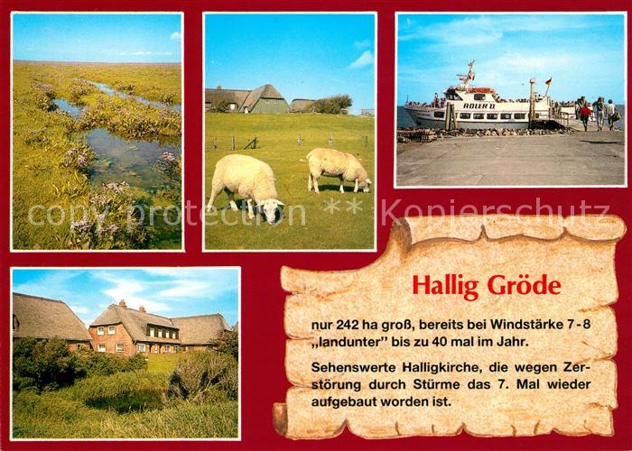 Hallig Groede Boot Roler II