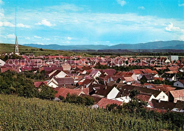 Ihringen Panorama