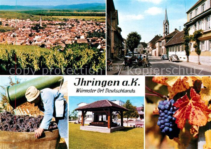 Ihringen Panorama Dorfstrasse Weinlese Pavillon
