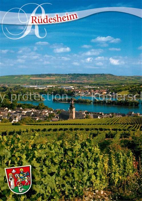Ruedesheim Rhein Blick vom Weinberg