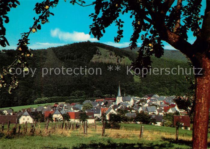 Freienohl Sauerland Ortsansicht