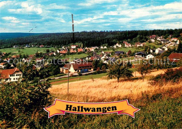 Hallwangen Panorama