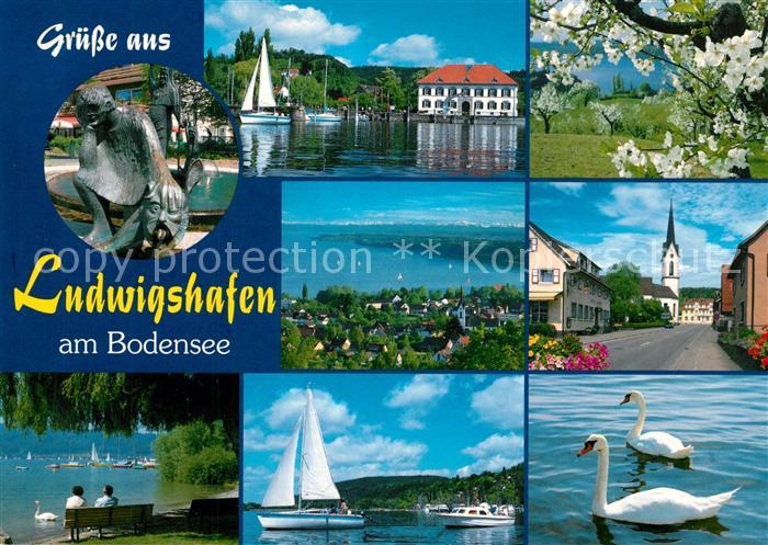 Ludwigshafen Bodensee Bootshafen Kirschbluete Fliegeraufnahme Ortsmotiv Kirche S
