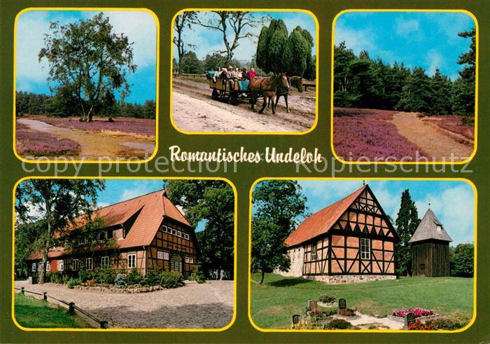 Undeloh Naturschutzpark Lueneburger Heide Pferdewagen Fachwerkhaeuser