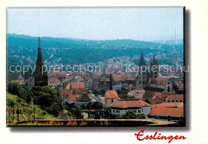 Esslingen Neckar Panorama mit Kirchen