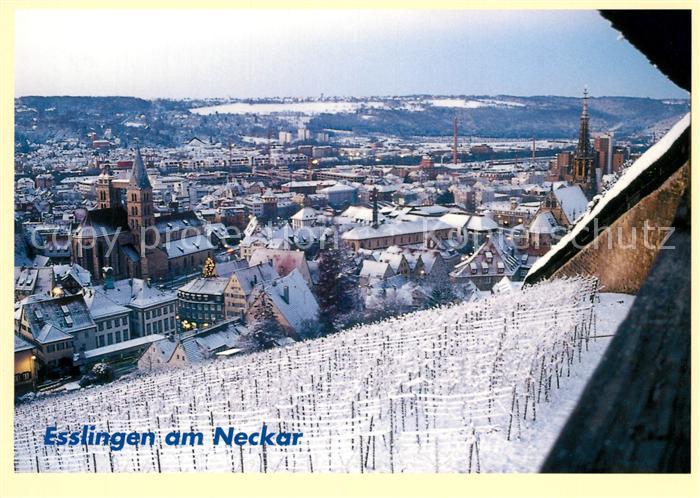 Esslingen Neckar Panorama von der Burg