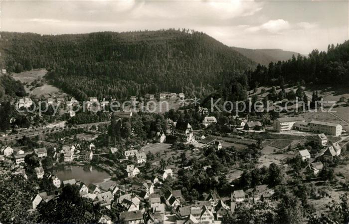 Bad Liebenzell Panorama