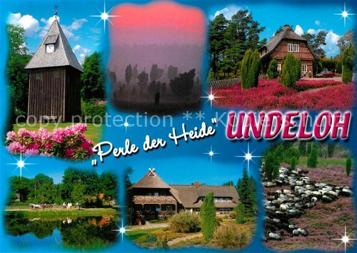 Undeloh Kirche Schafe Heidekraut