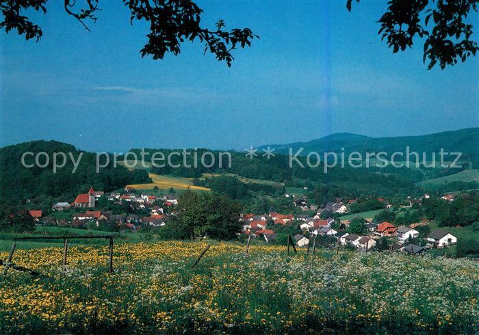 Gadernheim Panorama