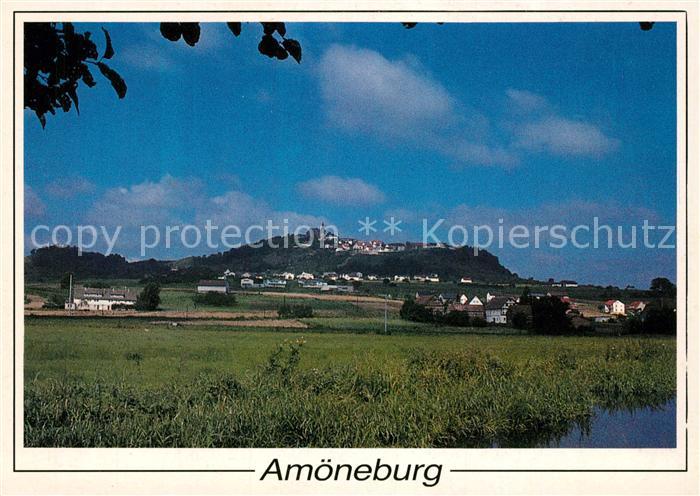 Amoeneburg Panorama