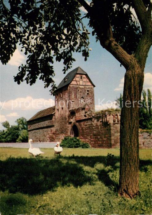 Bad Vilbel Burgruine Brunnen Heimatmuseum