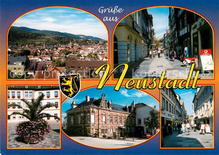Neustadt Weinstrasse Panorama Rathaus Stadtansichten