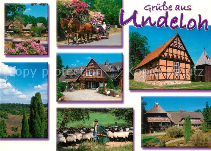 Undeloh Kutsche Schaefer Fachwerk