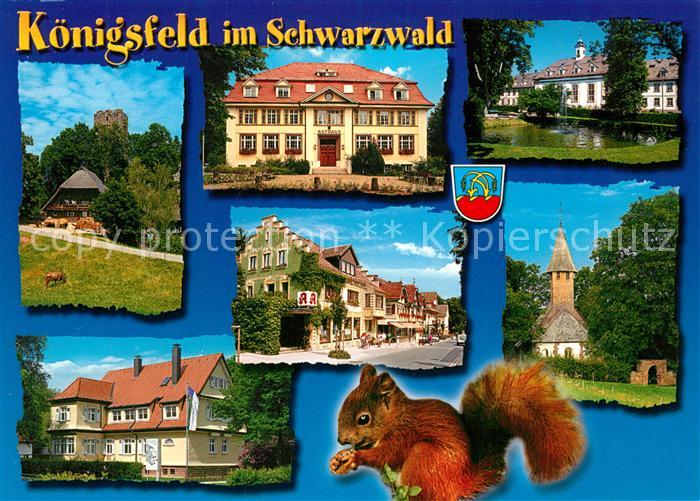 Koenigsfeld Schwarzwald Ortsansichten Eichhoernchen