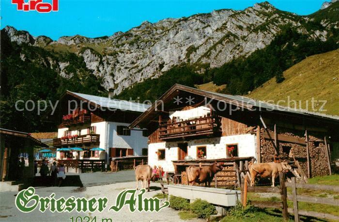 Wilder Kaiser Unterkunftshaus Griesneralm