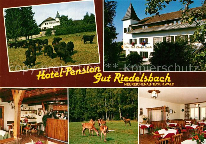 Neureichenau Hotel Pension Gut Riedelsbach Wildpark