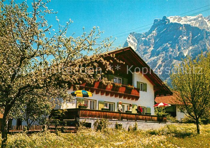 Ehrwald Tirol Gaestehaus Jaegerheim Baumbluete Wettersteingebirge
