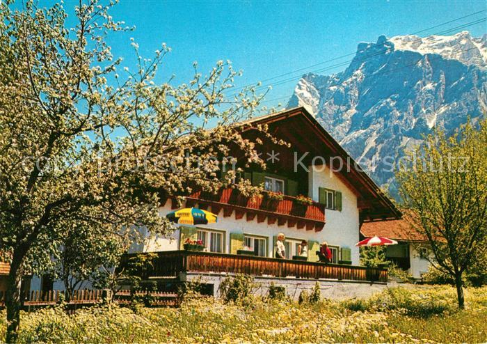Ehrwald Tirol Gaestehaus Jaegerheim Baumbluete Wettersteingebirge