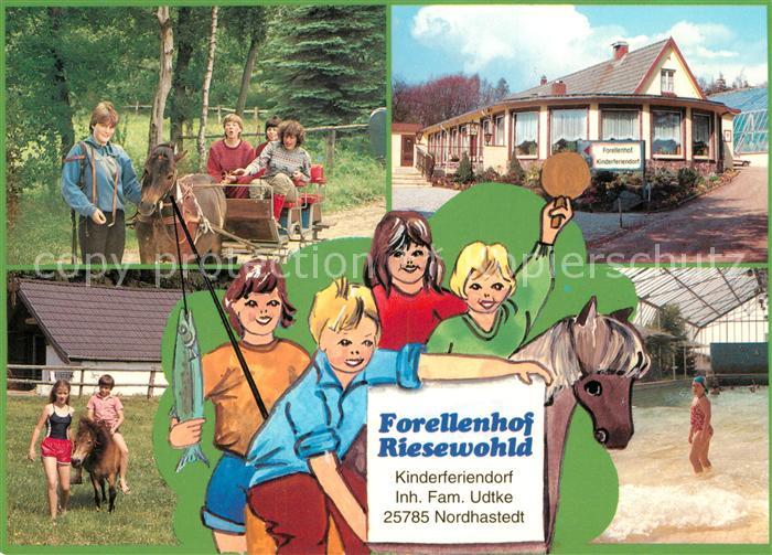 Nordhastedt Forellenhof Riesewohld Ponykutsche Reiten Hallenbad Kinderferiendorf