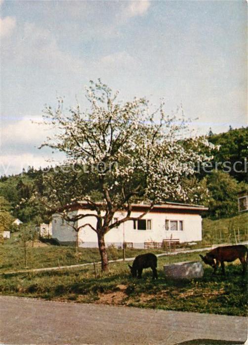 Mauloff Ev Familienferiendorf