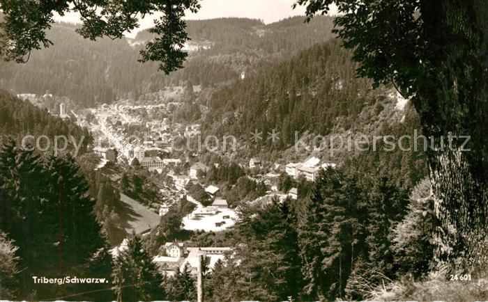 Triberg Schwarzwald Blick ins Tal