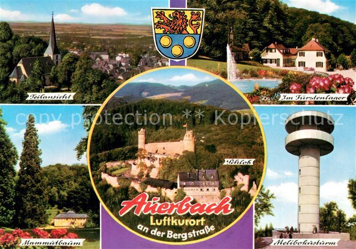Auerbach Bergstrasse Teilansicht Fuerstenlager Mammubaum Melibokusturm Schloss F